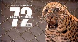 72 Dangerous Animals: Asia izle