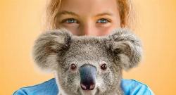 Izzy's Koala World izle