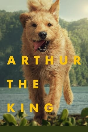 Arthur the King ( Cam sürüm ) izle